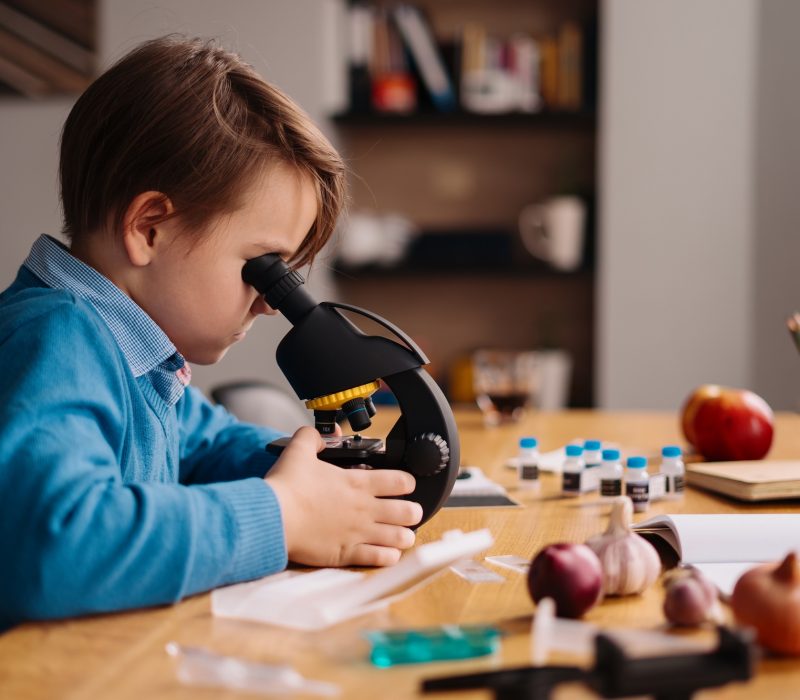 Preteen boy, Education and distance learning Preteen boy, Education and distance learning